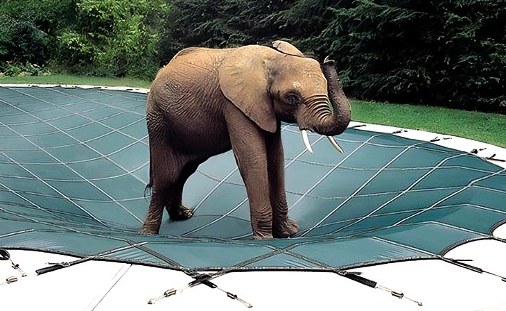 Для чего нужно батутное накрытие в бассейне