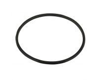 Прокладка-кільце кришки фильтра Kripsol AKT RRFI0003.03R