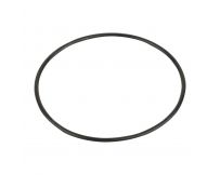 Гумова прокладка під кришку насоса Emaux SC (02021088new/02011077)