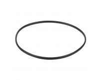 Уплотнительное кольцо к прижимному фланцу корпуса насоса Emaux SC (02011089)