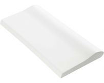 Копінговий камінь Aquazone 250x500x50-25 мм, білий