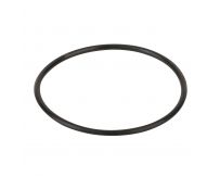 Уплотнительное кольцо диффузора Emaux (02011004)