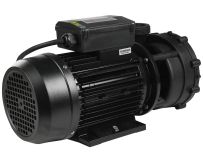 Насос для гідромасажного басейну Capri WP200-II