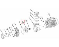 Крильчатка насоса Aquaviva WP300\LP300