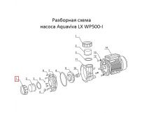 Гайка з'єднувальної муфти насоса Aquaviva LX WP500-I