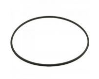 Ущільнювальне кільце для фільтра Hayward DE (DEX2422Z2)
