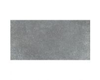 Плитка для басейну Aquaviva Granito Gray, 298x598x9.2 мм
