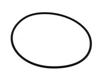 Ущільнювальне кільце Hayward SPX0710Z3