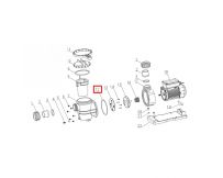 Ущільнювальне кільце корпуса для насоса Aquaviva VWS/STP 150-300