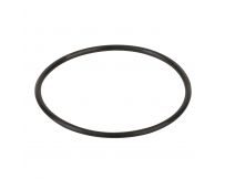 Уплотнительное кольцо диффузора насоса Aquaviva ZWE/WTB