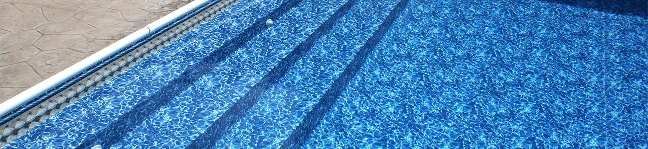 Які бувають водорості