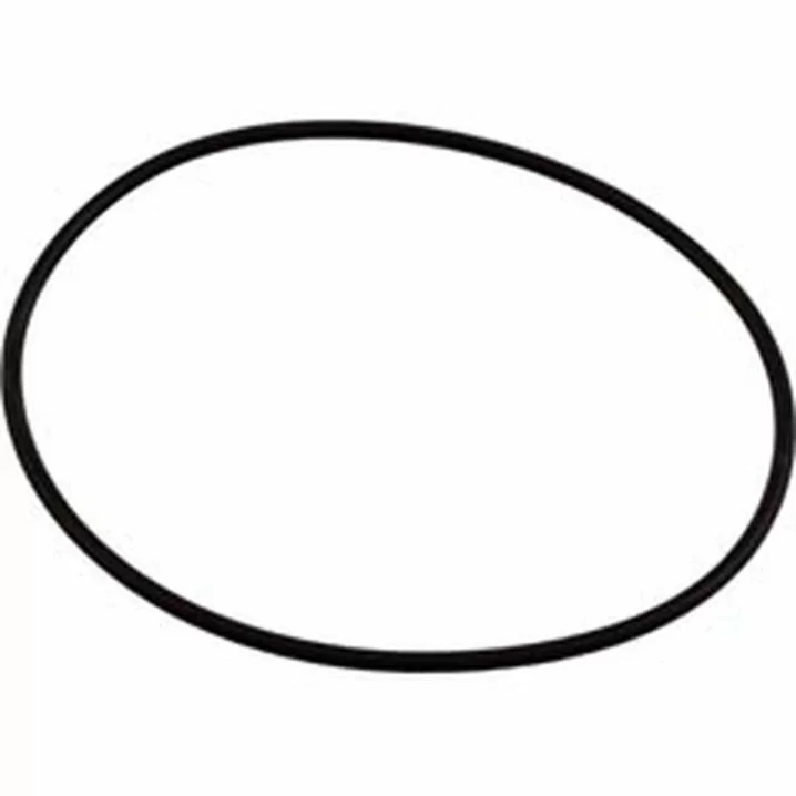 Ущільнювальне кільце Hayward SPX0710Z3